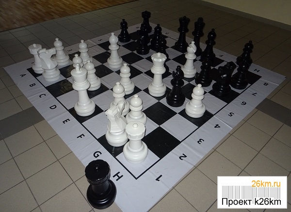 О пользе шахмат