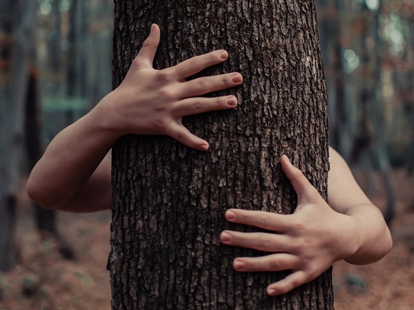 Дендротерапия. Зачем обнимать деревья?